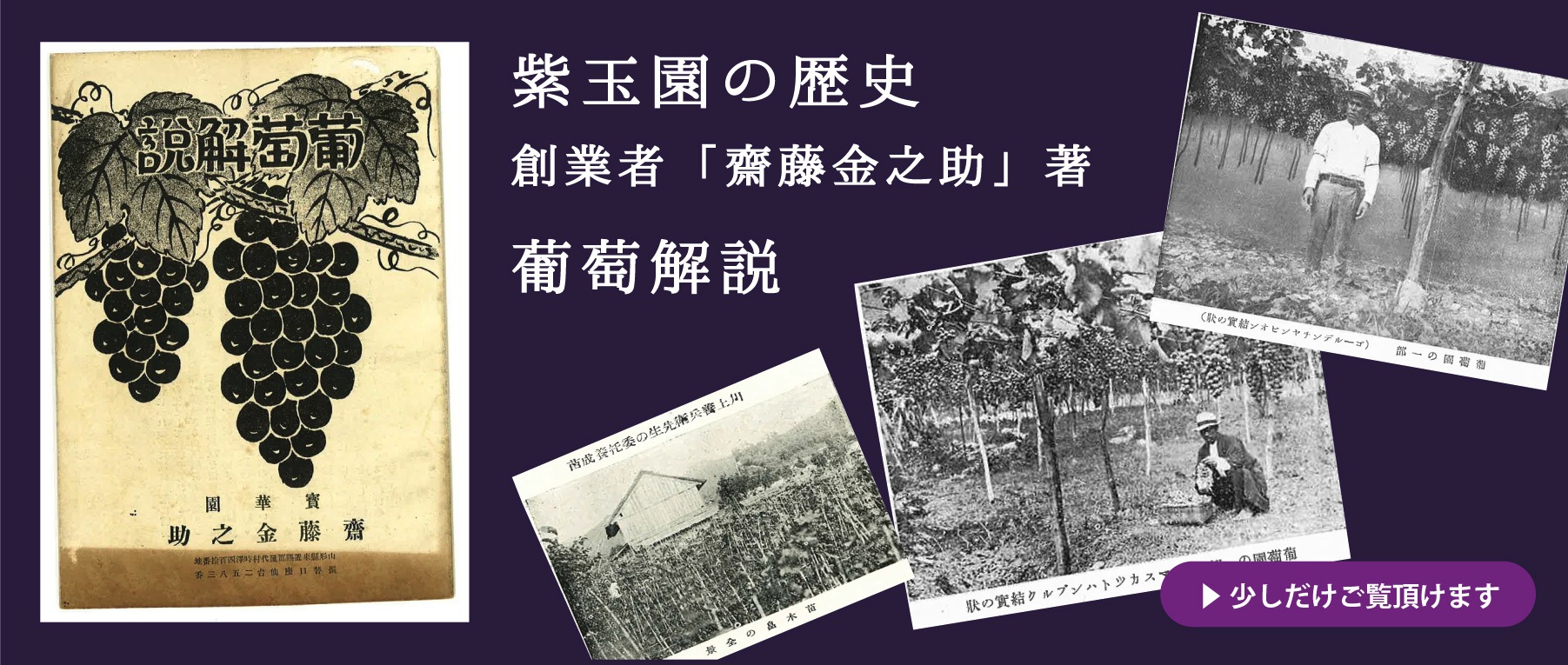 紫玉園の歴史